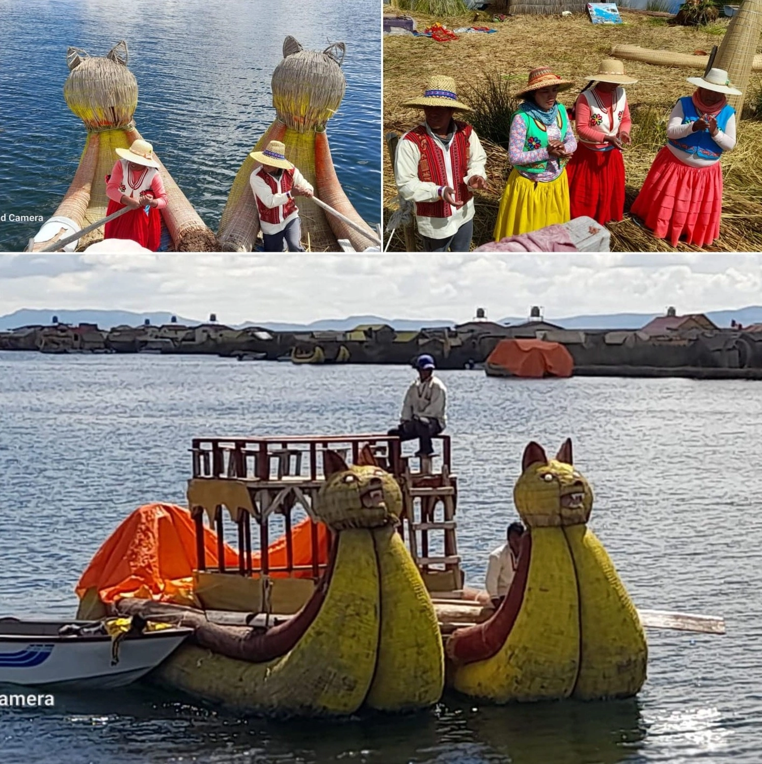 Naturcoach - Coaching - ein Schneefall